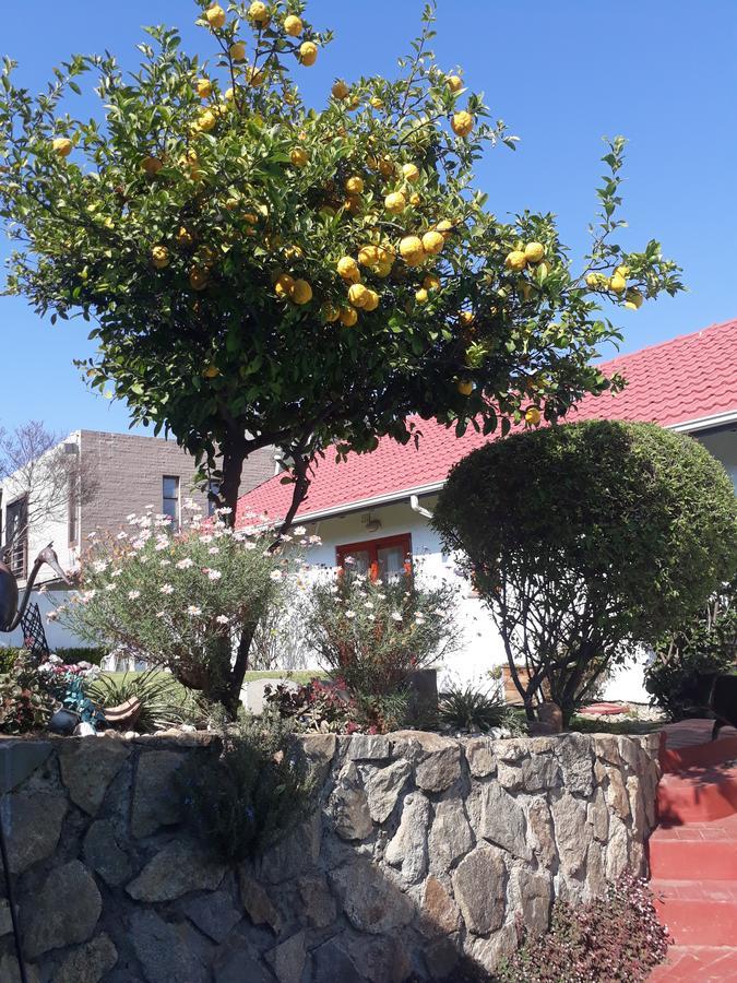 Mizizi House Of Sandton B & B Johannesburg Luaran gambar